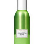 🔥In Stock🔥 | 💯% Authentic | ✨Lowest Price✨ Bath And Body Works Eucalyptus Mint Concentrated Room Spray