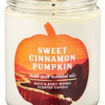 🔥In Stock🔥 | 💯% Authentic | ✨Lowest Price✨ Bath And Body Works Sweet Cinnamon Pumpkin Single Wick Candle