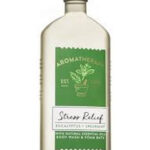 🔥In Stock🔥 | 💯% Authentic | ✨Lowest Price✨ Bath And Body Works Aromatherapy Stress Relief Eucalyptus Spearmint Body Wash and Foam Bath