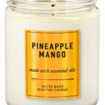 🔥In Stock🔥 | 💯% Authentic | ✨Lowest Price✨ Bath And Body Works Pineapple Mango Single Wick Candle