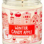 🔥In Stock🔥 | 💯% Authentic | ✨Lowest Price✨ Bath And Body Works Winter Candy Apple Single Wick Candle