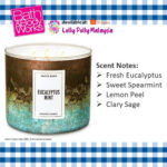 🔥In Stock🔥 | 💯% Authentic | ✨Lowest Price✨ Bath And Body Works Eucalyptus Mint 3-Wick Candle
